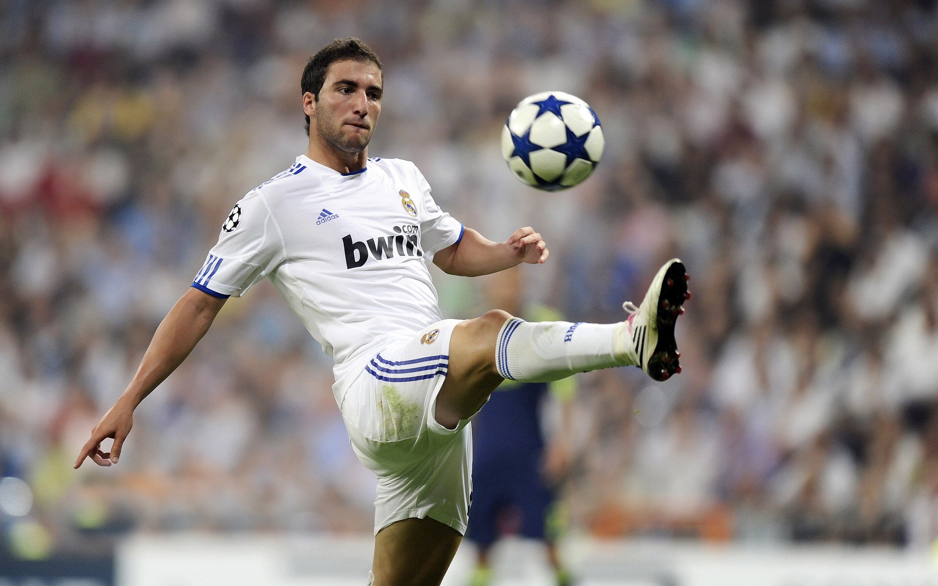 密尔沃基雄鹿常规赛小胜达拉斯独行侠，李盈莹砍下25记关键球，全场沸腾